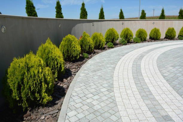 Best Residential Paver Driveway  in Wildwood Lake, TN